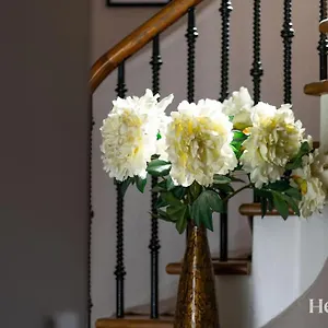 fountainhall-townhouse.hotelsaberdeenuk.com/